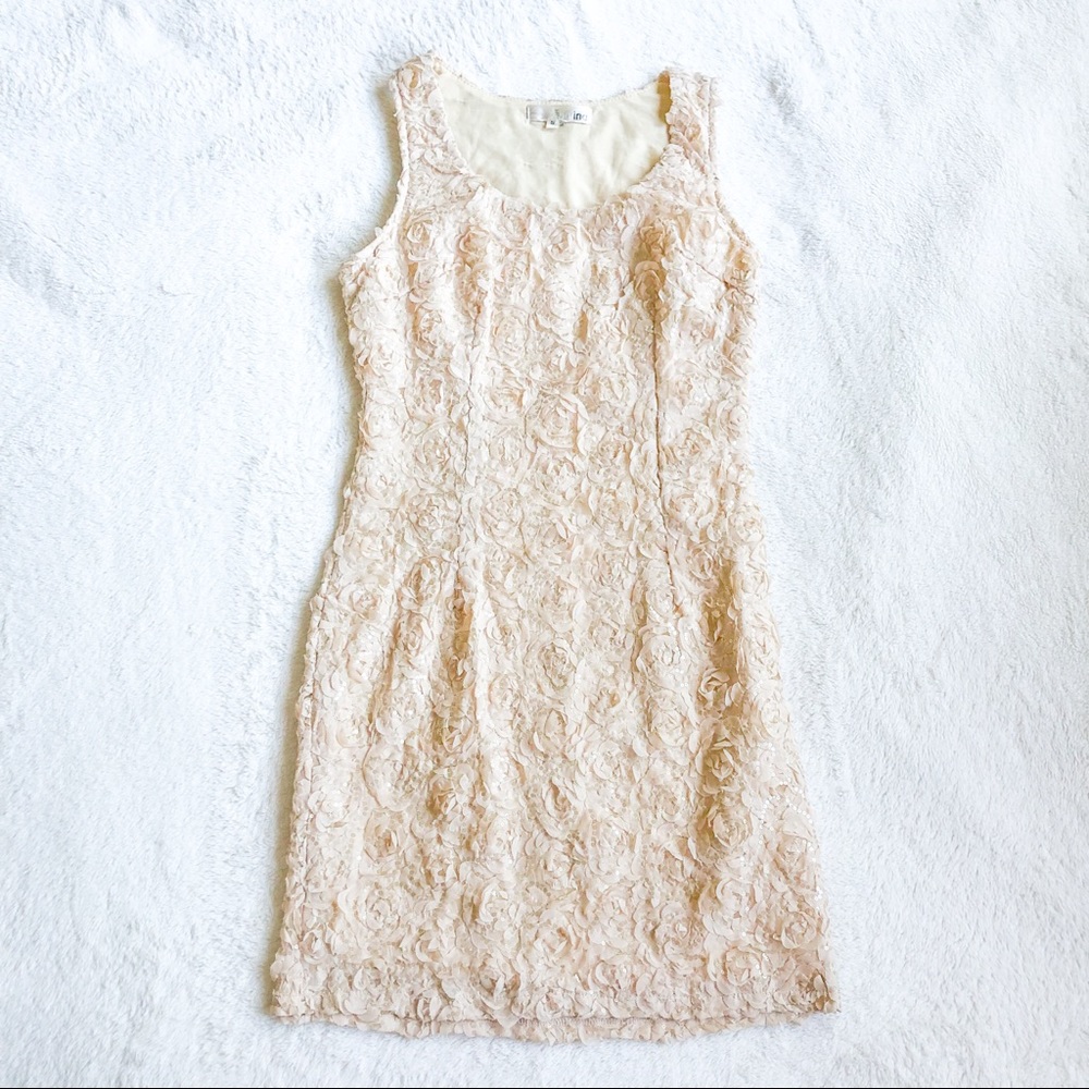 Beautiful Aniina All Over Floral Cream Sheath Dress
